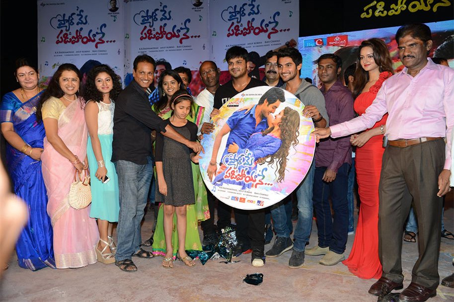 Pyaar-Mein-Padipoyane-Audio-Launch